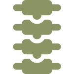 A green circle with a white number 4 in the center, reminiscent of signage found in a health center. The circle is set against a light background.